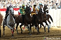 VBS_1038 - Palio di Asti 2024